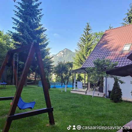Casa Aris Lepsa Vrancea酒店 外观 照片